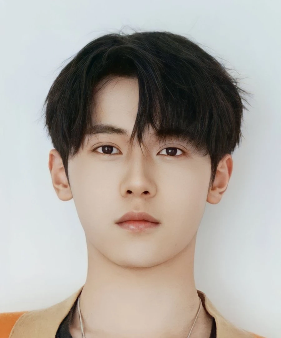 Ding Zhi