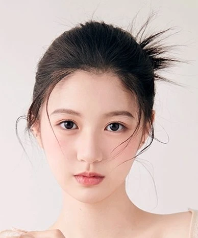 Fan Jing Wen